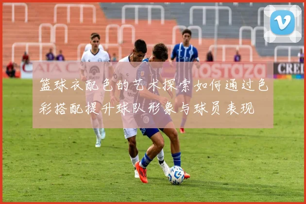 篮球衣配色的艺术探索如何通过色彩搭配提升球队形象与球员表现