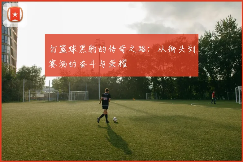 打篮球黑豹的传奇之路：从街头到赛场的奋斗与荣耀