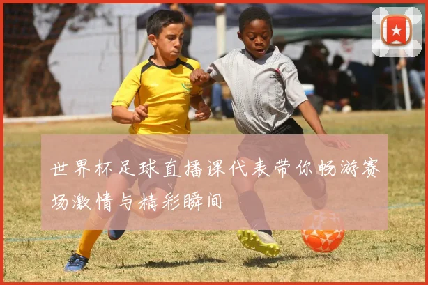 世界杯足球直播课代表带你畅游赛场激情与精彩瞬间