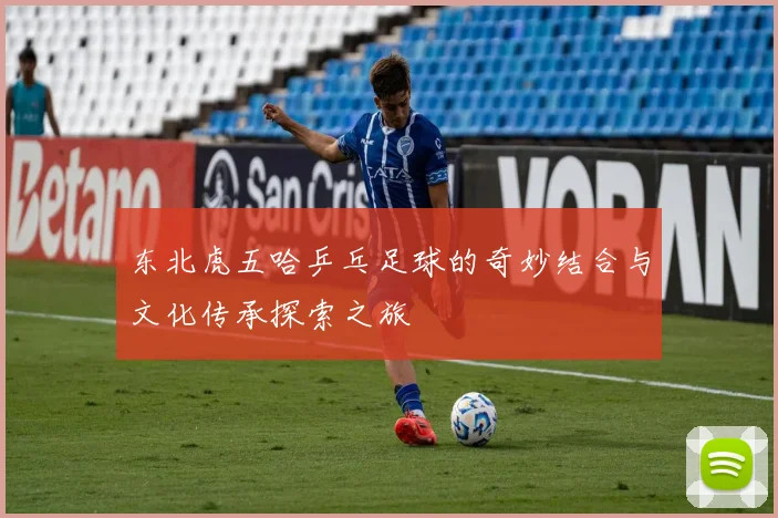 东北虎五哈乒乓足球的奇妙结合与文化传承探索之旅
