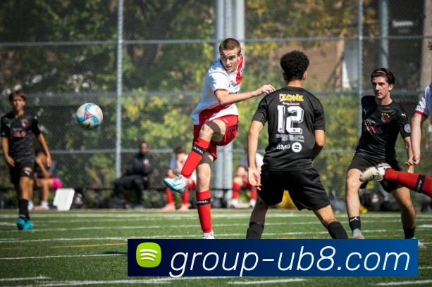 优游官网APP 封面图